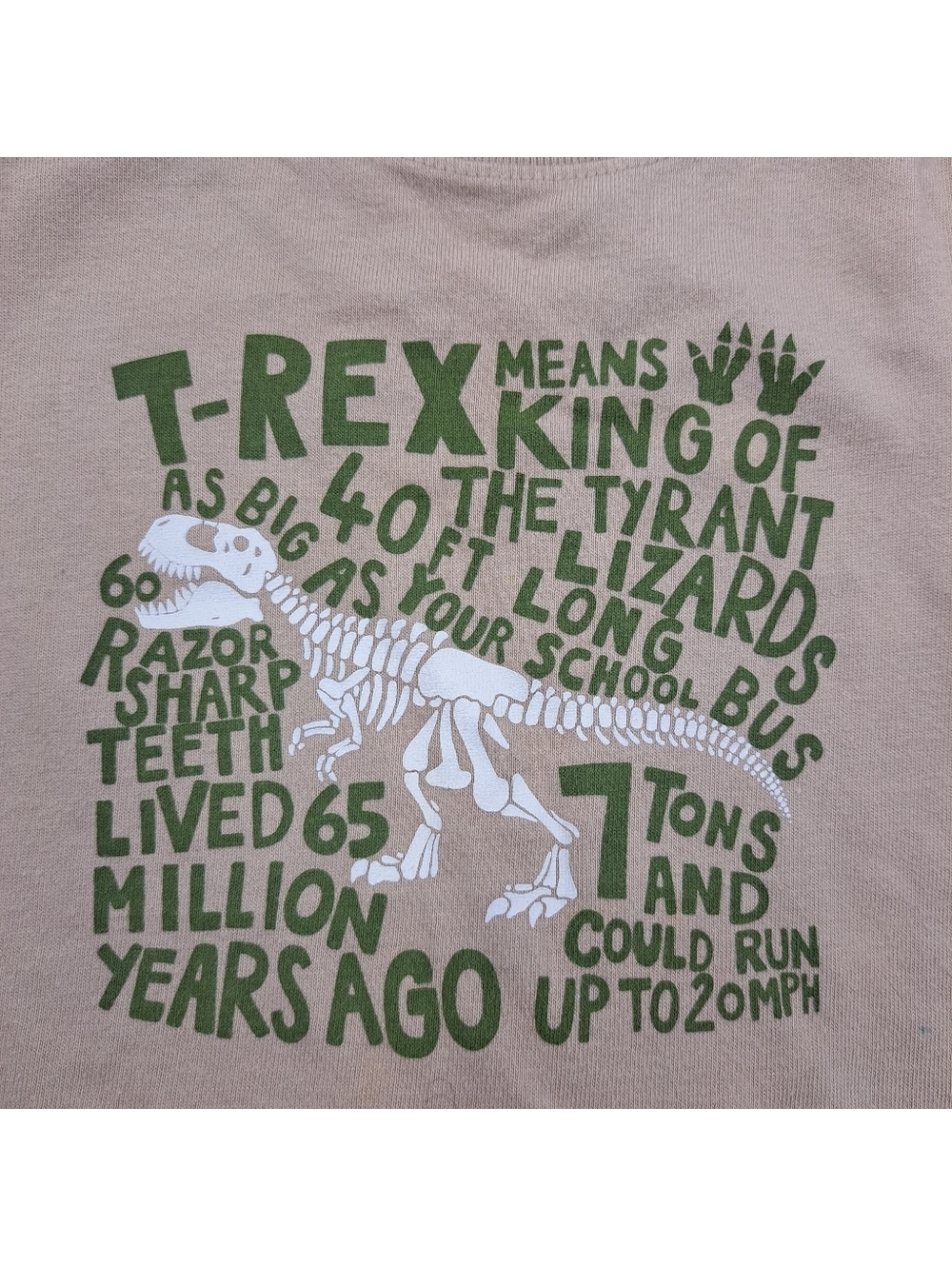 Dinosaur Skeleton T-Rex Graphic With Green Text Size 2T Tee Shirt Jurassic Park